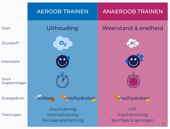 Wat is 'aeroob' en 'anaeroob' trainen? - Gezond Sporten